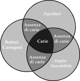 Cariogramma