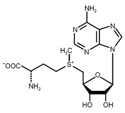 Ademetionina - Formula di struttura