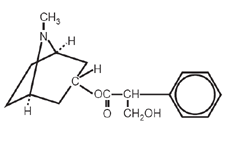 Atropina - Formula di struttura