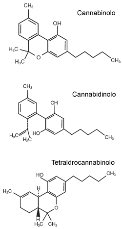 Cannabis sativa - Formula di struttura