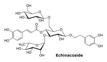Echinacea - Formula di struttura