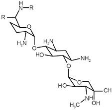 Gentamicina - Formula di struttura
