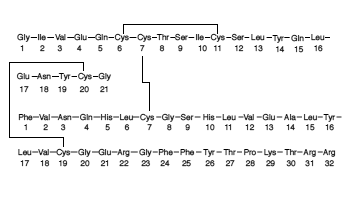 Insulina Glargine - Formula di struttura