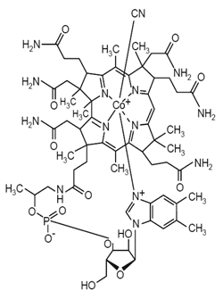 Vitamina B12 (Cobalamina) - Formula di struttura